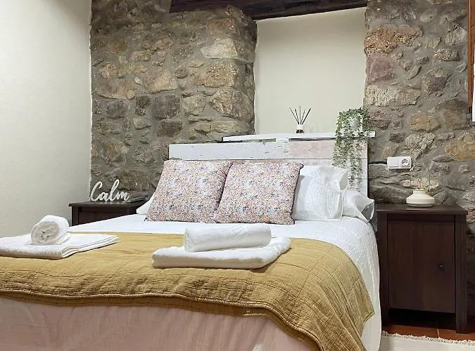 Liebana 3* סן ויסנטה דה לה ברקרה